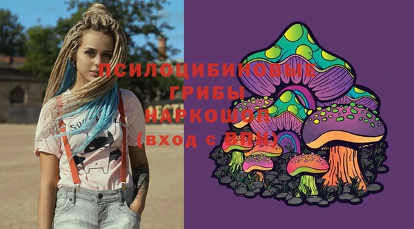 МДМА Новодвинск