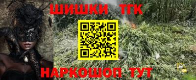 крисы Бийск