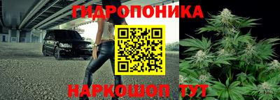 прущие грибы Волгодонск