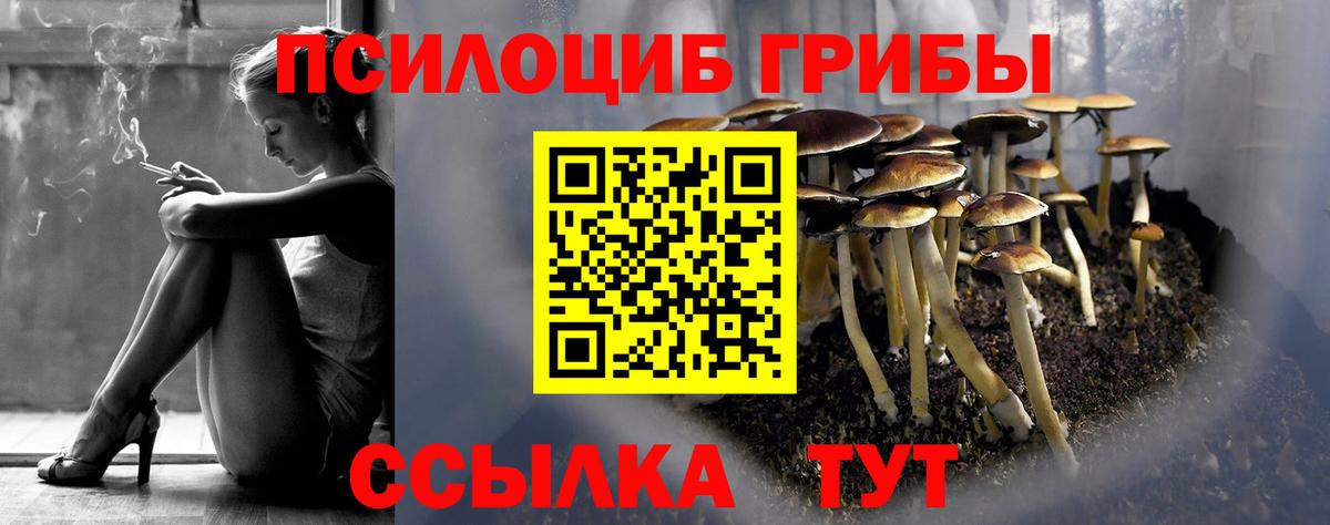 Псилоцибиновые грибы прущие грибы  Заволжье 
